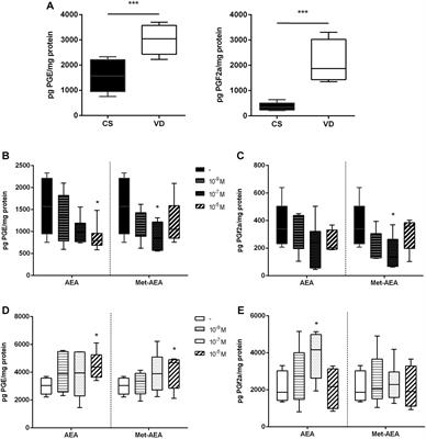 Anandamide Exerts a Differential Effect on Human Placenta Before and After the Onset of Labor